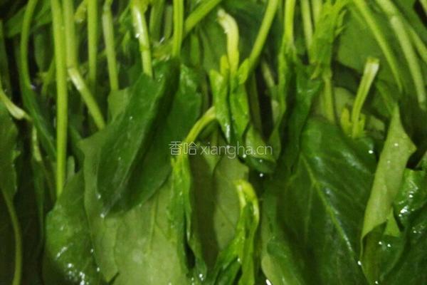 果仁菠菜拌麻酱的做法图解1