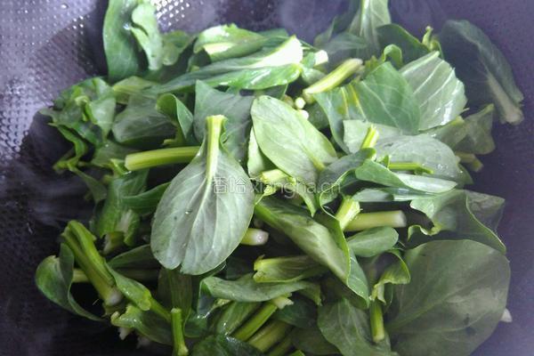 菜苔炒香肠的做法图解3