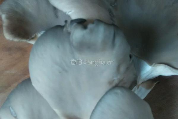 椒盐蘑菇的做法图解1