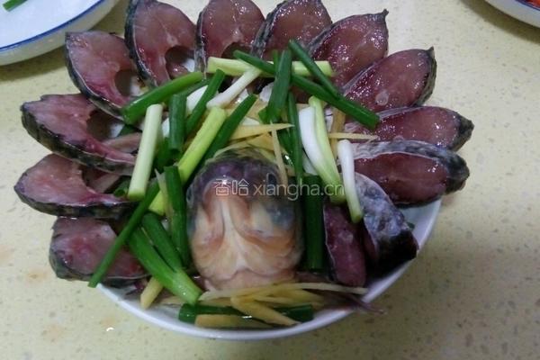 孔雀开屏的做法图解4
