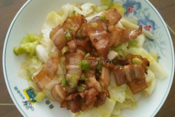 包菜炒肉片的做法图解11