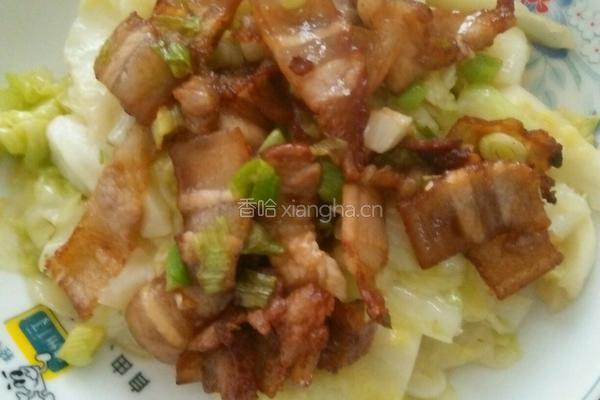 包菜炒肉片的做法图解10