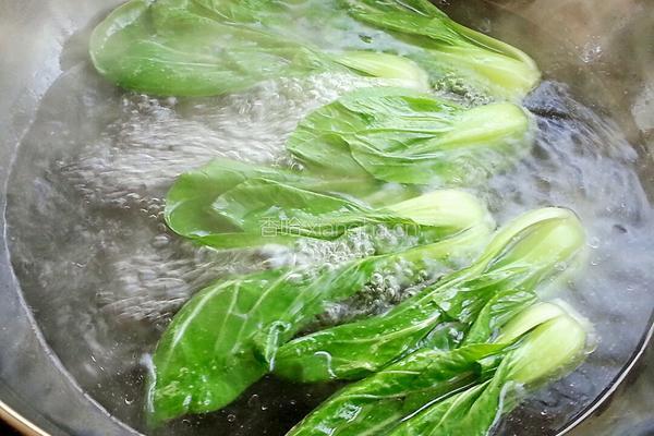 草鱼炖豆腐的做法图解12