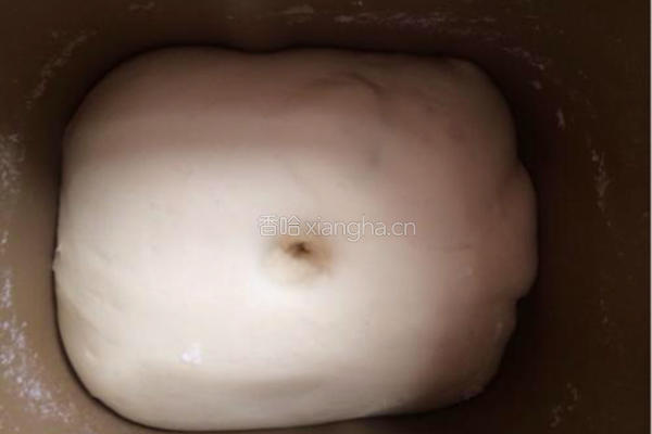 无油汤种双色排包的做法图解2