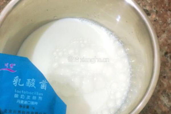 自制酸奶的做法图解2