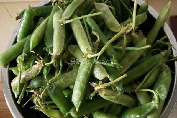 煮鲜碗豆的做法图解1