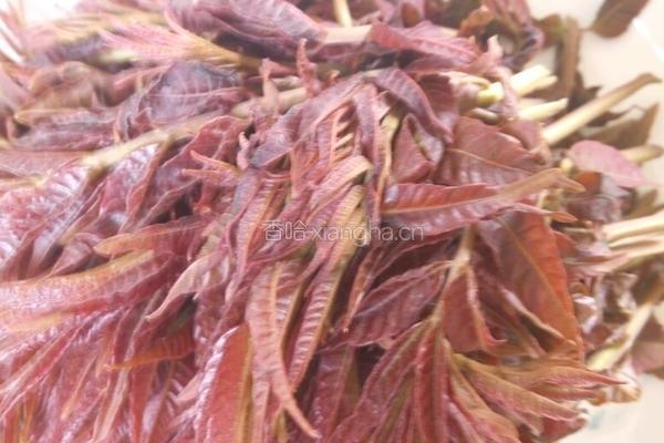 香椿芽拌豆腐的做法图解1