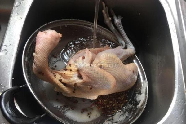 手撕鸡的做法图解2