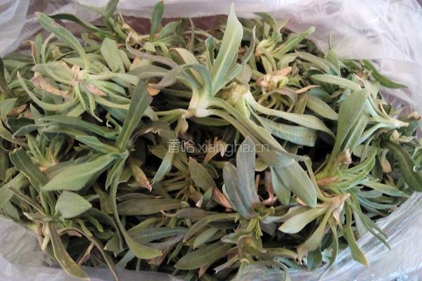 蒸面条菜的做法图解1