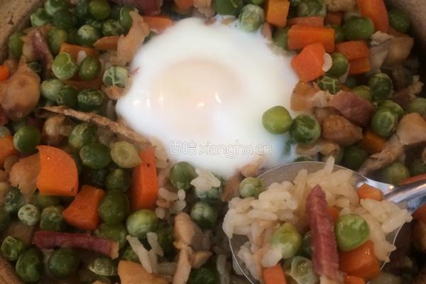 鸡腿沙锅饭的做法图解17