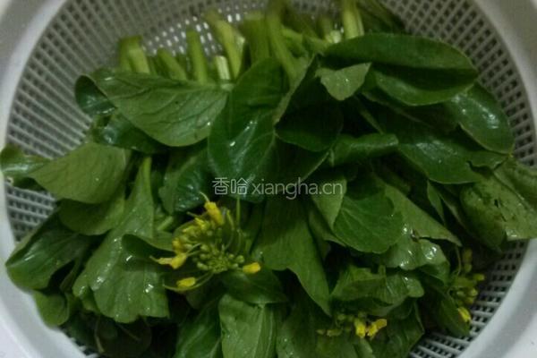 蒜香菜心的做法图解1
