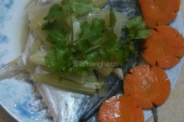 清煮鲳鱼的做法图解6