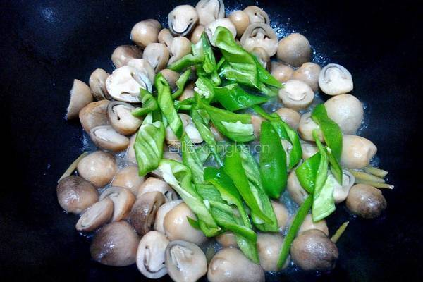 蚝油草菇的做法图解5