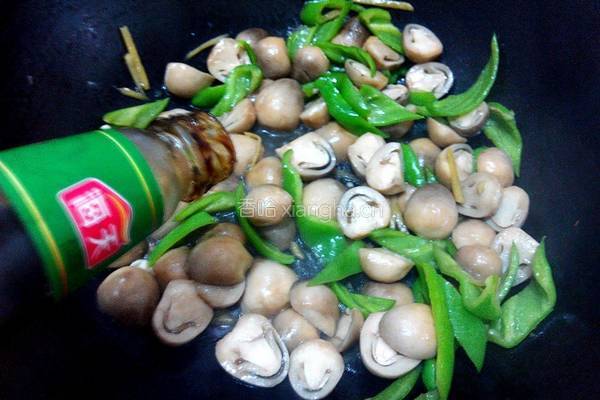 蚝油草菇的做法图解6