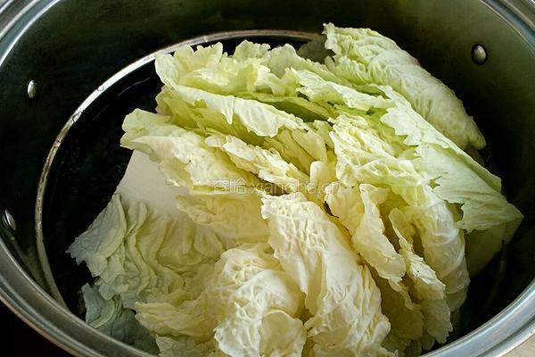 白菜包包（百财）的做法图解6