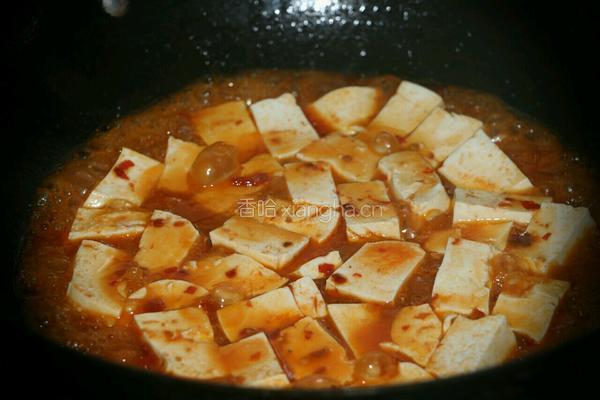 豆瓣酱烧豆腐的做法图解5