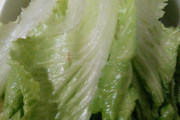 榨菜肉丝面的做法图解5