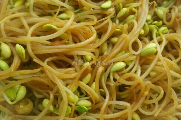 炒豆芽