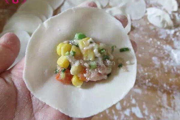 水晶饺子的做法图解7