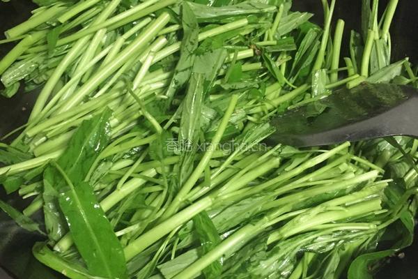 腐乳炒通菜的做法图解4