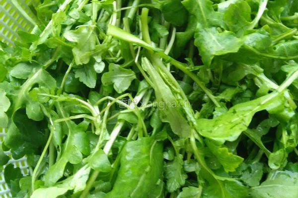 野菜饼的做法图解1