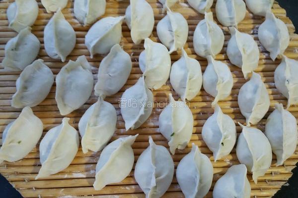 萝卜丝蛤蜊肉水饺的做法图解15
