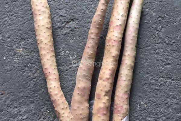 豆沙山药糕的做法图解1