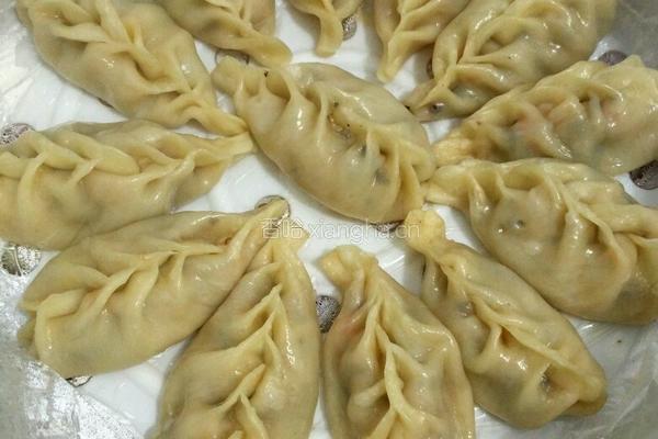 白菜猪肉饺子(麦穗饺子包法)的做法图解13