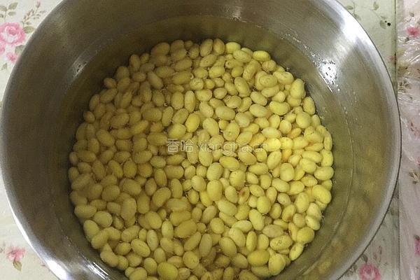 自制豆腐的做法图解2