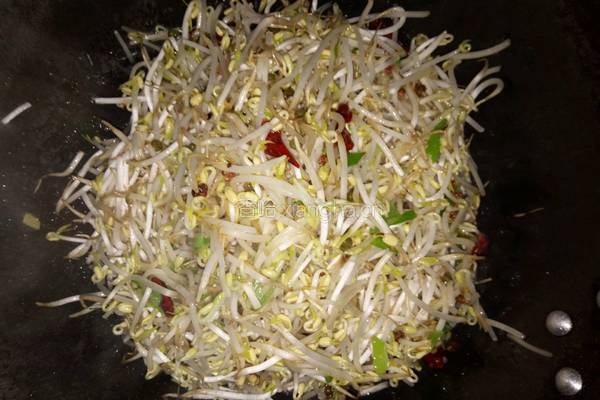 炝炒绿豆芽的做法图解4