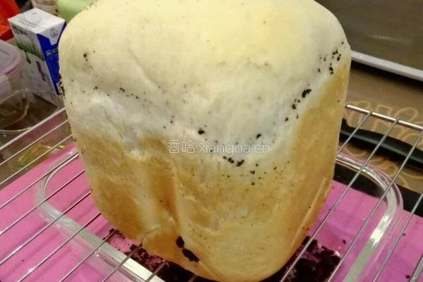低糖奥利奥奶香土司的做法图解9