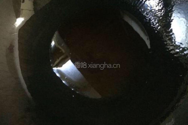 茄香黄豆鱼的做法图解3