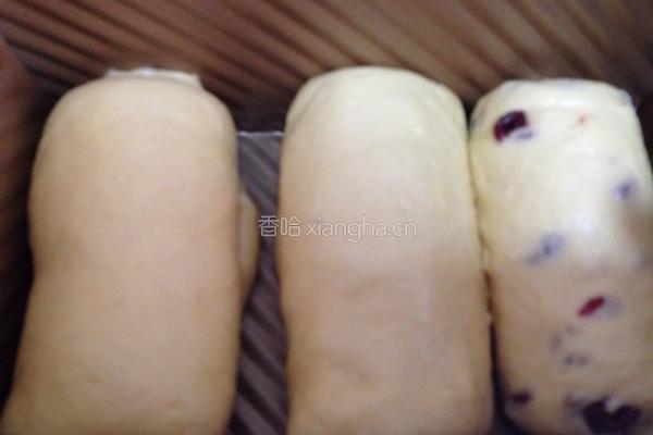 蔓越莓吐司的做法图解7