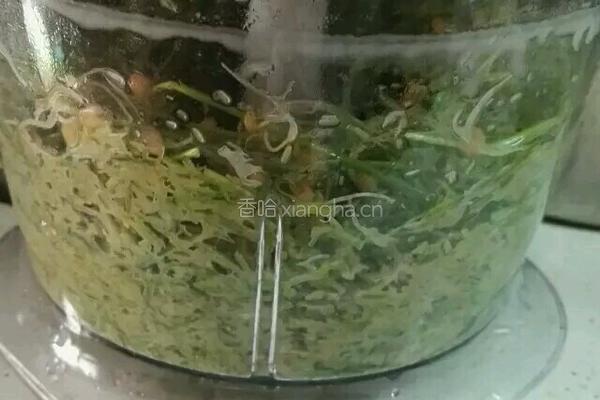麦芽糖的做法图解4
