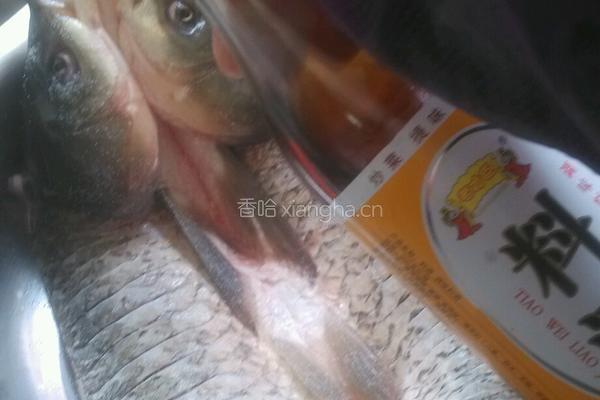 一品烤鱼的做法图解3