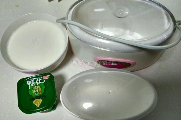 棉花糖混搭自酿酸奶的做法图解1