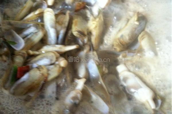 青炒海蛏子的做法图解4