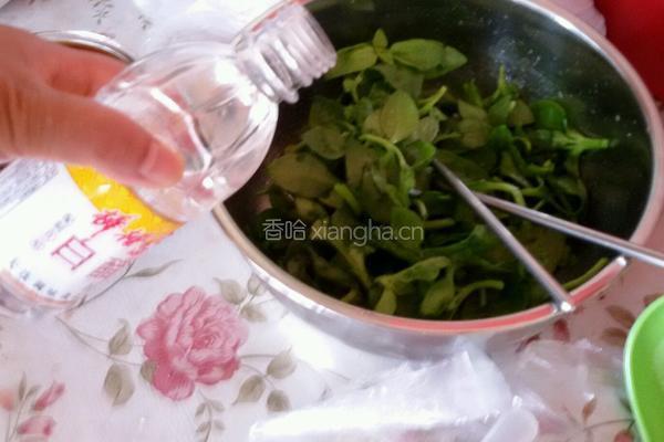 凉拌穿心莲的做法图解4