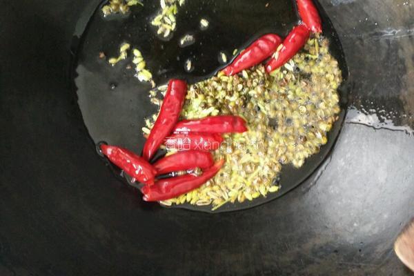 香辣水煮鱼的做法图解10