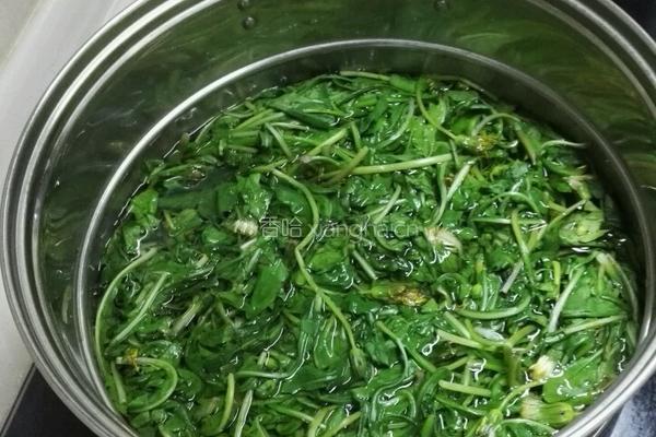 凉拌蒲公英菜的做法图解3