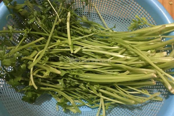 芹菜饺子的做法图解1