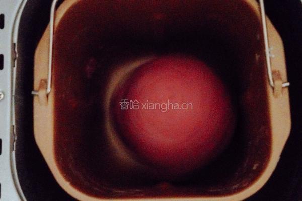 全麦紫薯小餐包的做法图解5