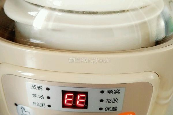 小熊电炖锅系列之煮饭的做法图解11
