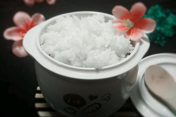 小熊电炖锅系列之煮饭的做法图解15