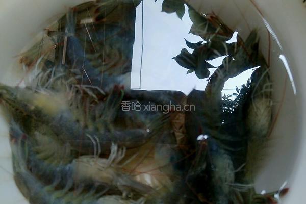 金针花开的做法图解1