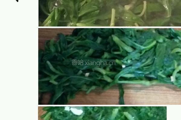 马兰头凉拌香干的做法图解3