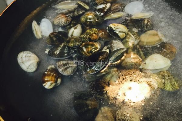 卷心菜炒海瓜子的做法图解1