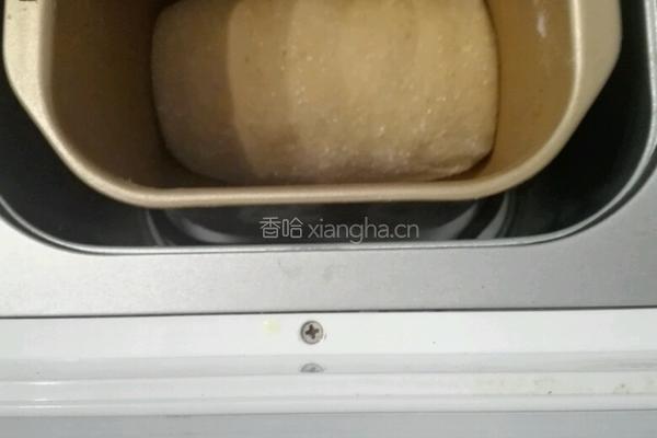 咖啡巧克力豆全麦土司的做法图解4