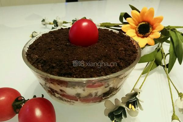 水果酸奶盆栽的做法图解7