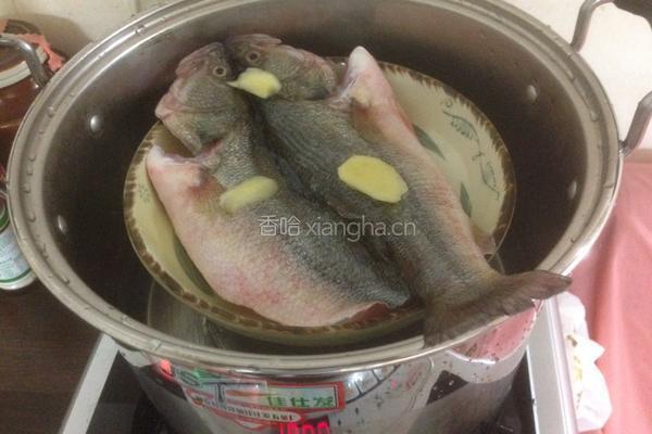 清蒸鲈鱼的做法图解5